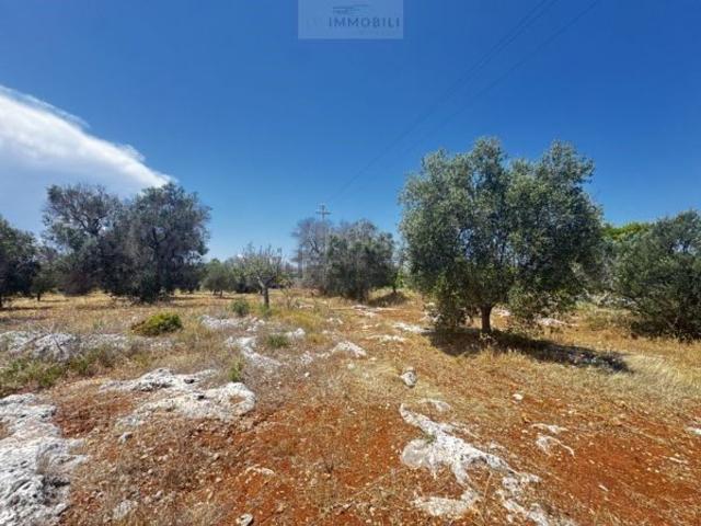 Terreno in vendita a Puglia, Brindisi