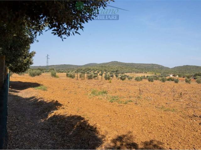 Terreno in vendita a Capalbio, Toscana