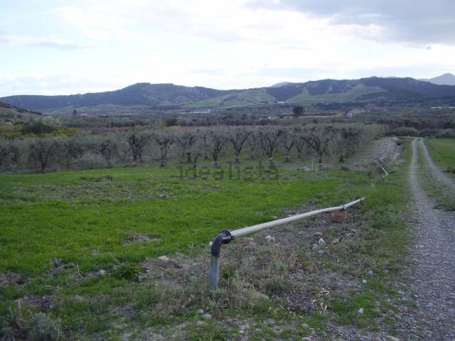 Terreno in vendita a Stigliano, Basilicata