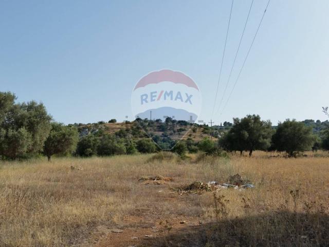 Terreno in vendita a Noto, Siracusa