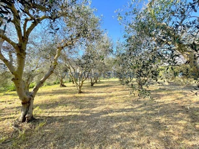 Terreno in vendita a Principina Terra, Monte Argentario