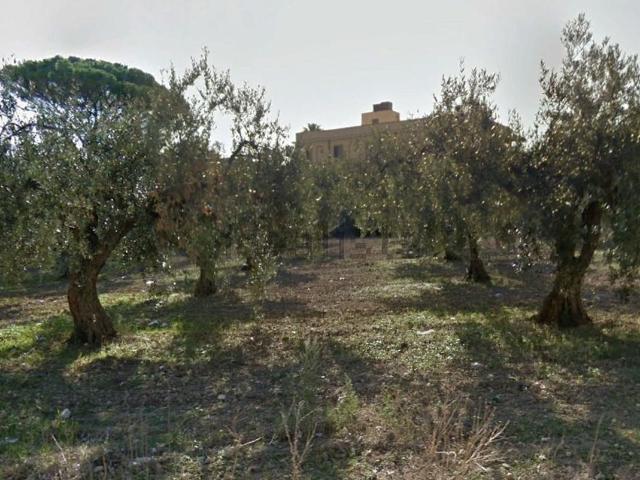 Terreno in vendita a Castelvetrano, Sicilia