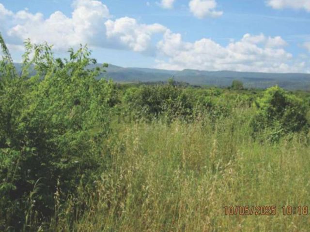 Terreno in vendita a Francofonte, Siracusa