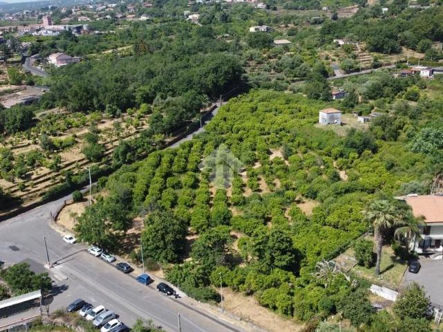 Terreno in vendita a Santa Venerina, Sicilia