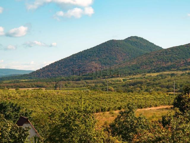 Terreno in vendita a Unione dei comuni Valle del Savio, Cesenà