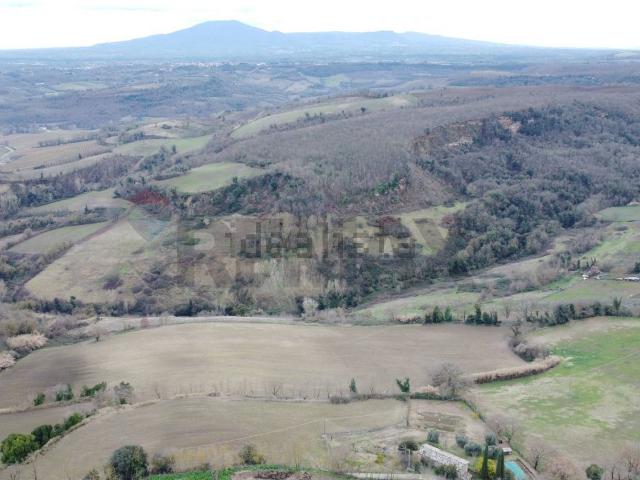 Terreno in vendita a Celleno, Lazio