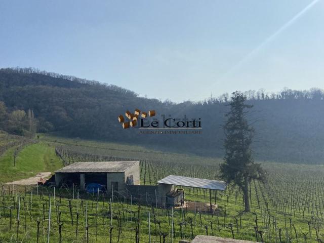 Terreno in vendita a Sarego, Veneto