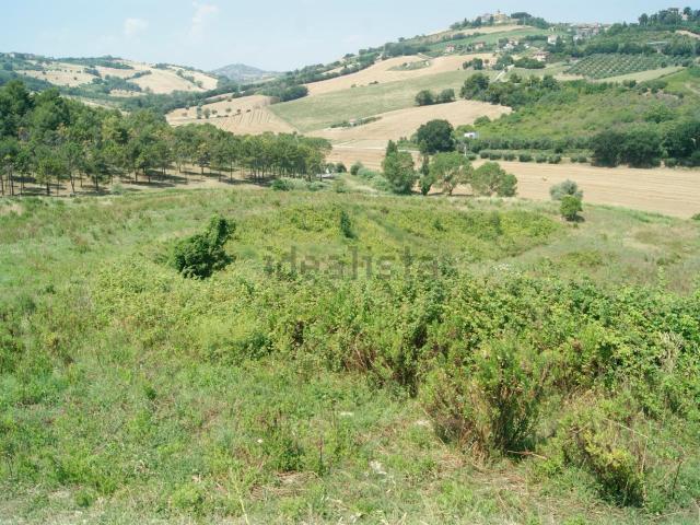 Terreno in vendita a San Michele, Marche