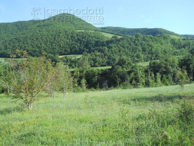 Terreno in vendita a Marche, Pesaro E Urbino