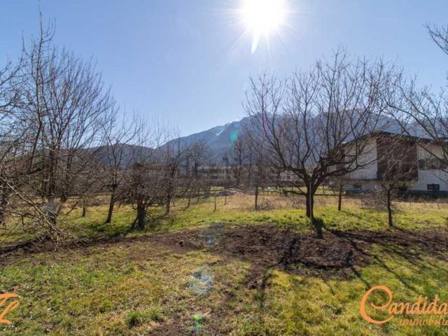 Terreno in vendita a Villa Santina, Friuli-Venezia Giulia