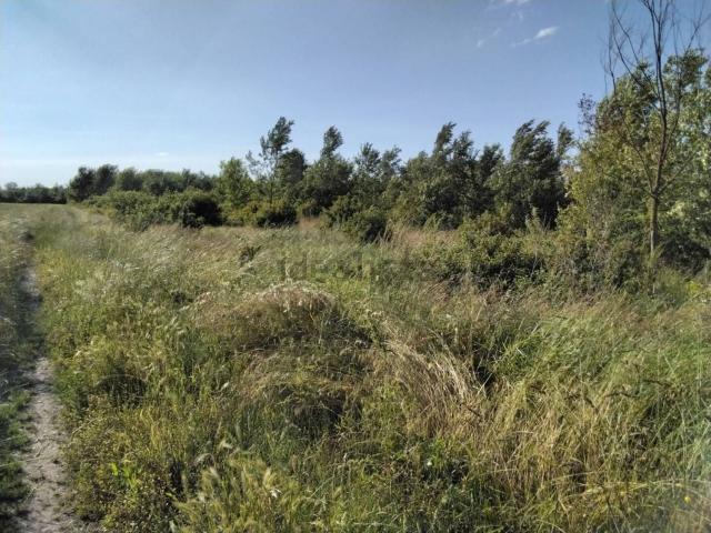 Terreno in vendita a Terra di Mezzo, Re