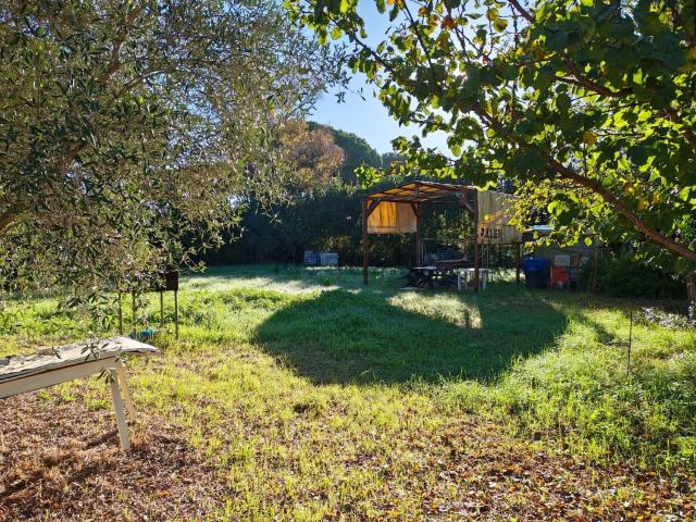 Terreno in vendita a Tarquinia, Lazio