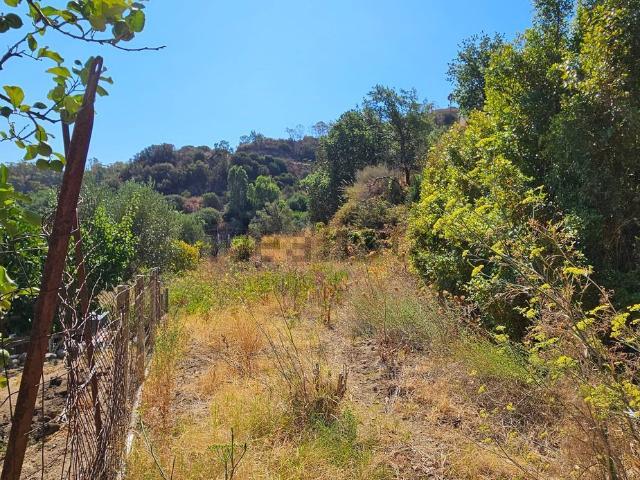 Terreno in vendita a Calabria, Catanzaro
