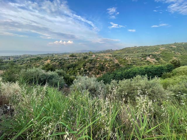 Terreno in vendita a Spadafora, Sicilia