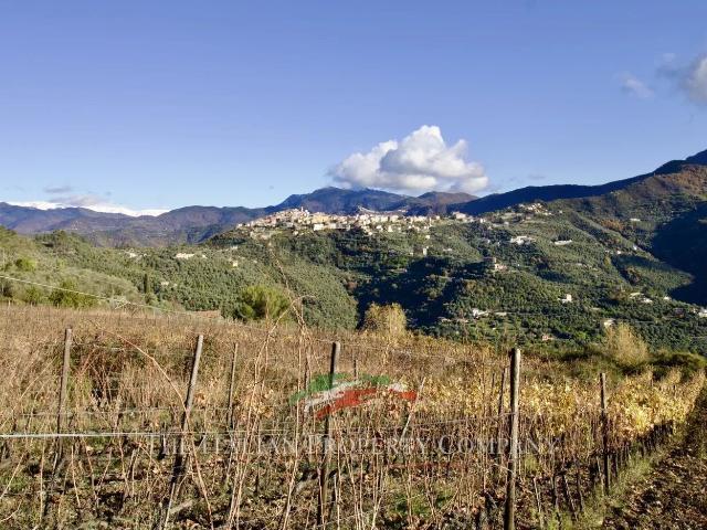Terreno in vendita a Perinaldo, Liguria
