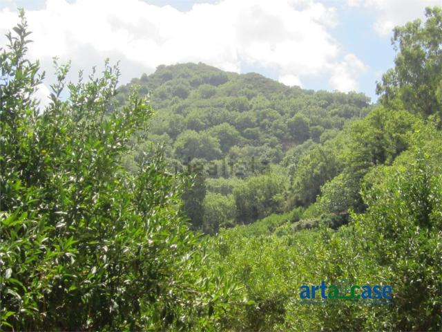 Terreno in vendita a San Pier Niceto, Sicilia