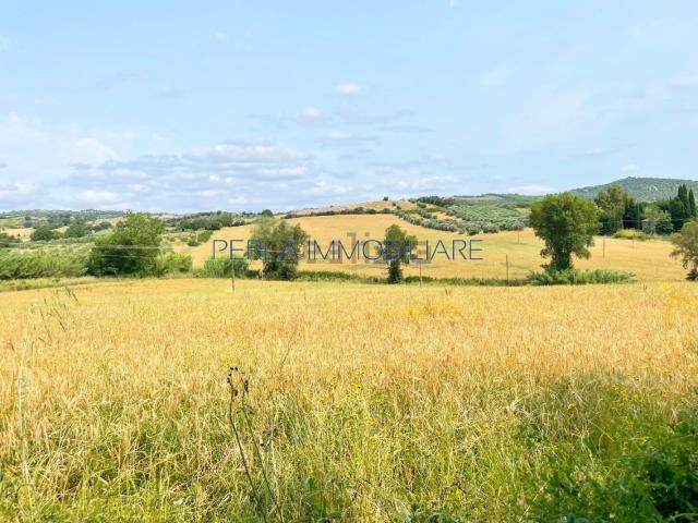 Terreno in vendita a Monte Argentario, Toscana
