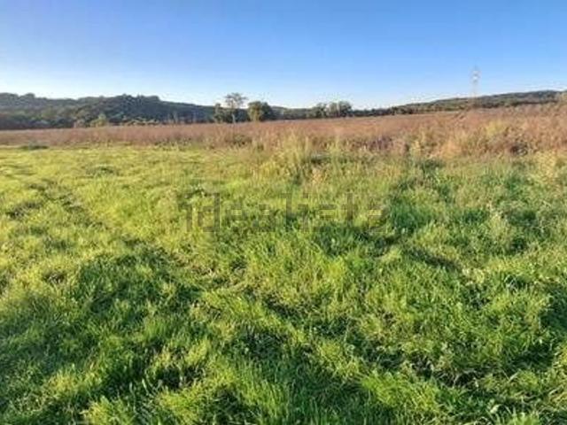 Terreno in vendita a Poggio, Massa Marittima