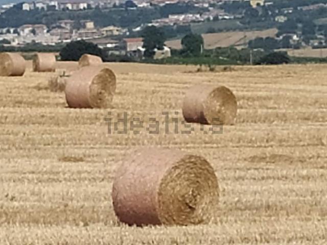 Terreno in vendita a Termoli, Campobasso
