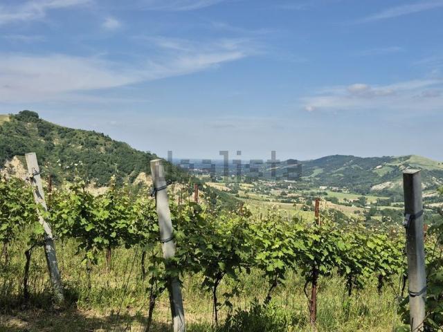 Terreno in vendita a Unione di Comuni della Romagna Forlivese, Dovadola