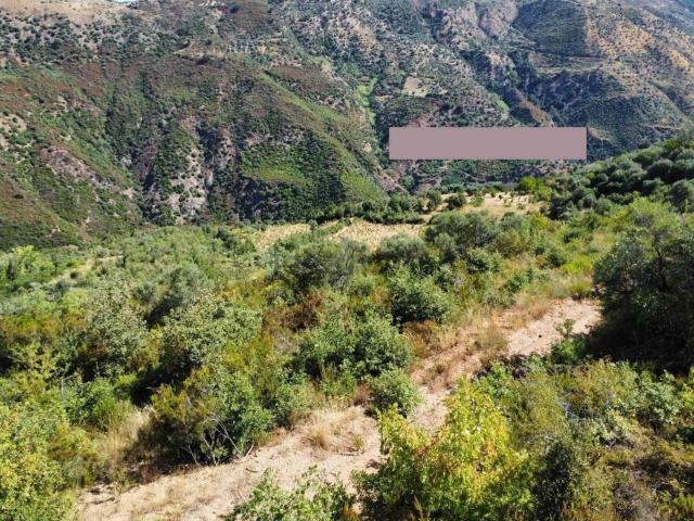 Terreno in vendita a Calabria, Cosenza