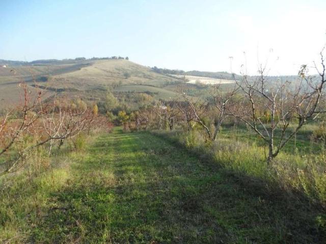 Terreno in vendita a Nuovo Circondario Imolese, Imola