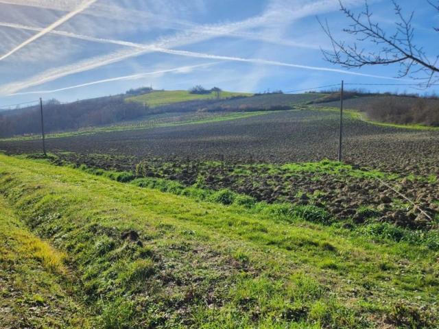 Terreno in vendita a Unione di Comuni della Romagna Forlivese, Bertinoro