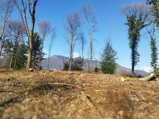Terreno in vendita a Valdilana, Piemonte