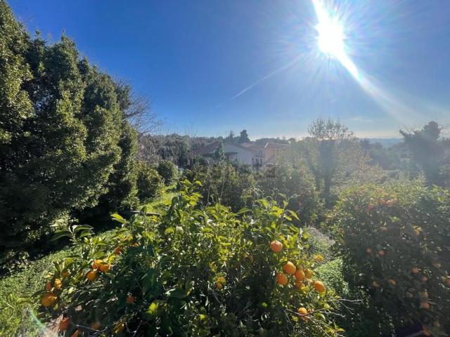 Terreno in vendita a Trecastagni, Catania