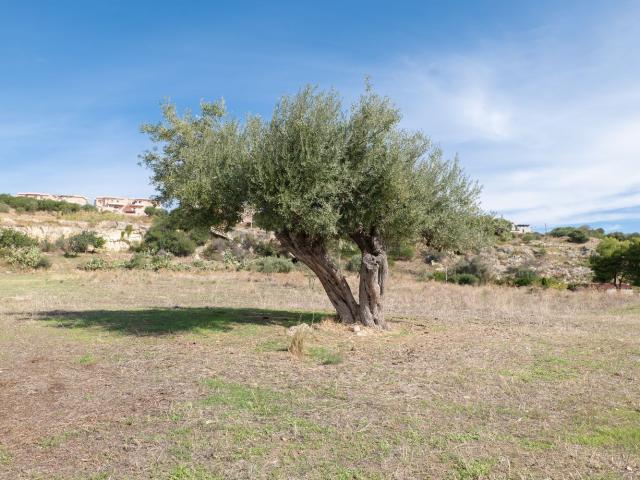 Terreno in vendita a Augusta, Siracusa