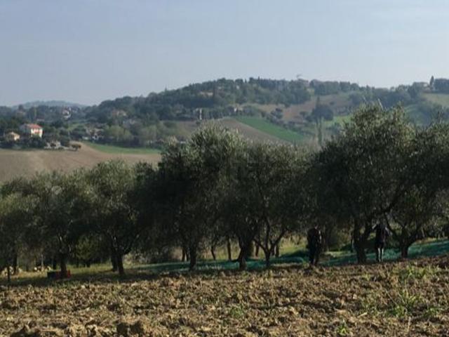 Terreno in vendita a Castelnuovo, Marche