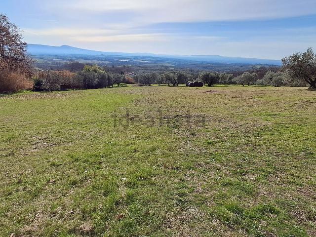 Terreno in vendita a Montefiascone, Lazio