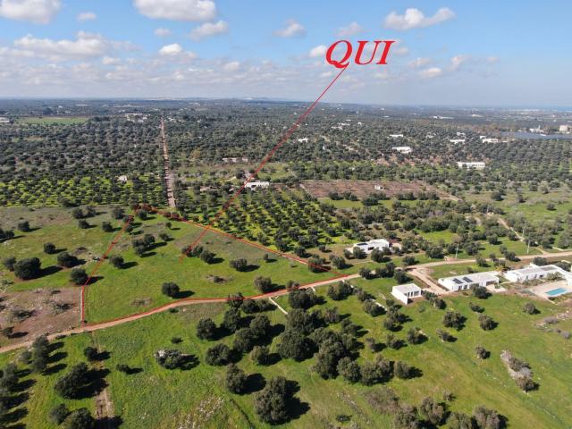 Terreno in vendita a Puglia, Brindisi