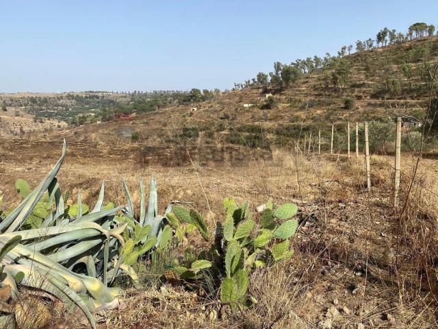 Terreno in vendita a Mineo, Sicilia