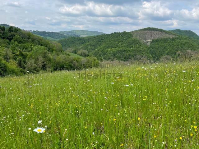 Terreno in vendita a Nuovo Circondario Imolese, Fontanelice