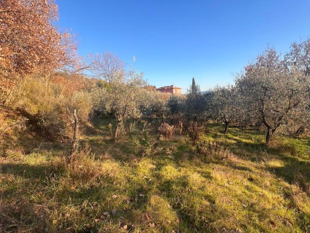 Terreno in vendita a Loro Ciuffenna, Toscana
