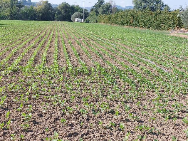 Terreno in vendita a Savignano Sul Rubicone, Reggio Emilia