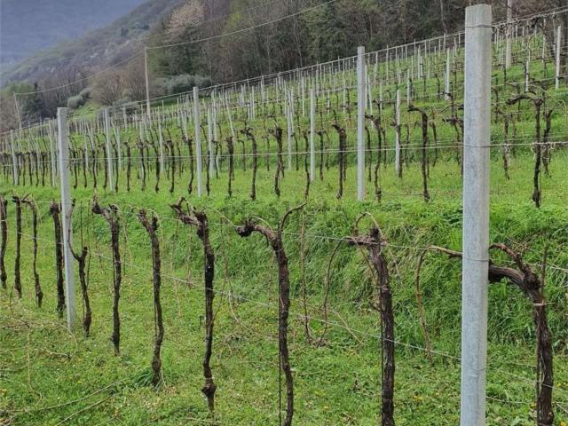 Terreno in vendita a Follina, Veneto