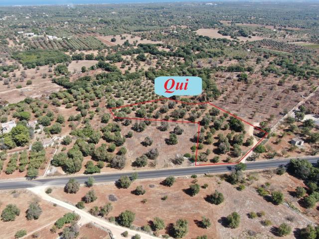 Terreno in vendita a Puglia, Brindisi