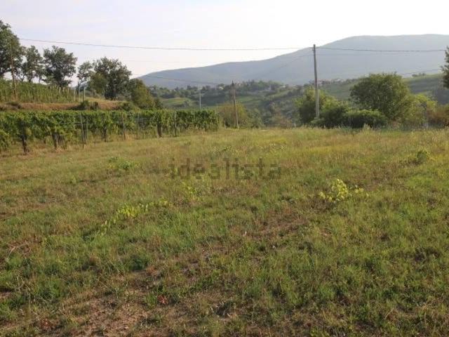 Terreno in vendita a San Floriano Del Collio, Friuli-Venezia Giulia