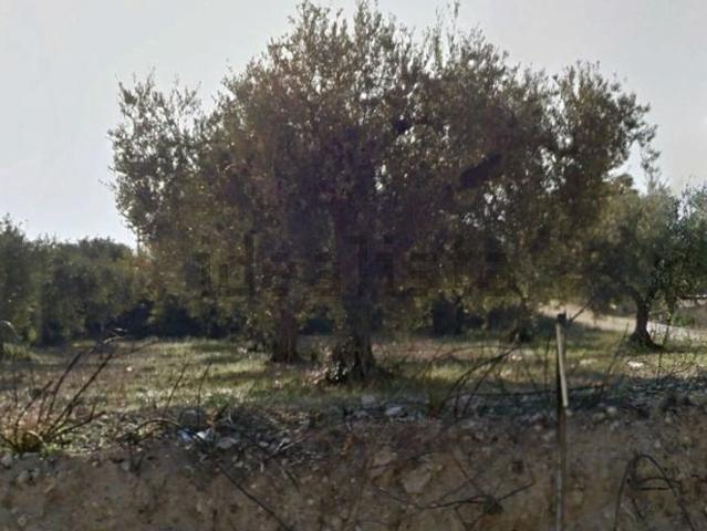 Terreno in vendita a Castelvetrano, Sicilia