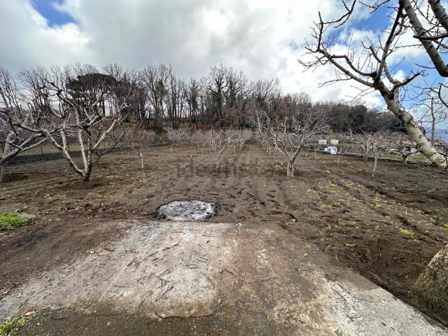 Terreno in vendita a Tarderia, Pedara