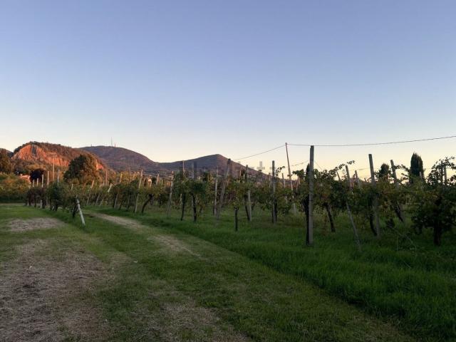 Terreno in vendita a Zovon, Vo'