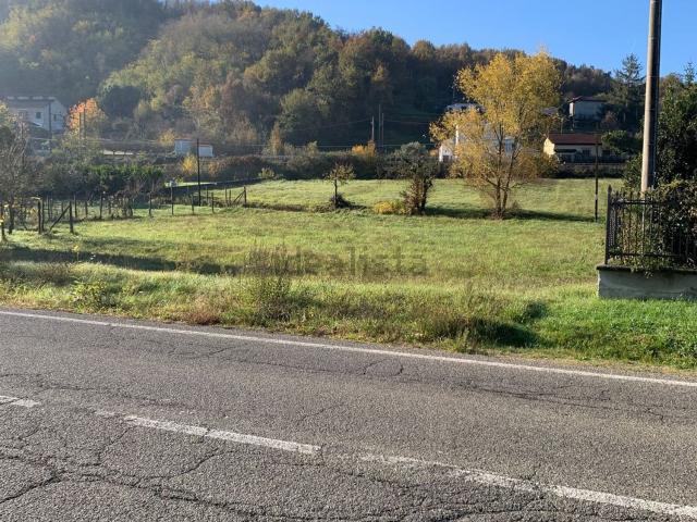 Terreno in vendita a Rigoroso, Piemonte