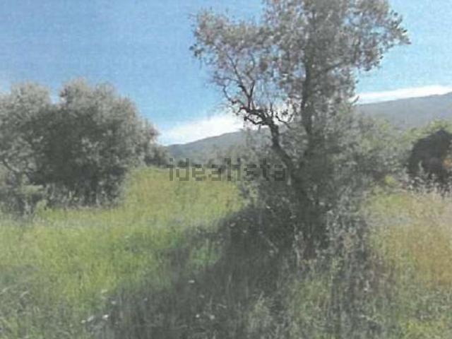 Terreno in vendita a La Tignamica, Vaiano