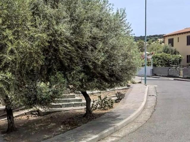 Terreno in vendita a Bauladu, Sardigna/Sardegna