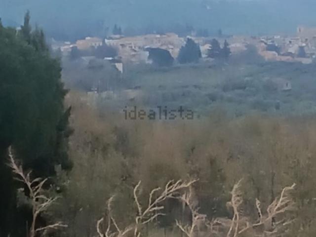 Terreno in vendita a Piedimonte Etneo, Sicilia