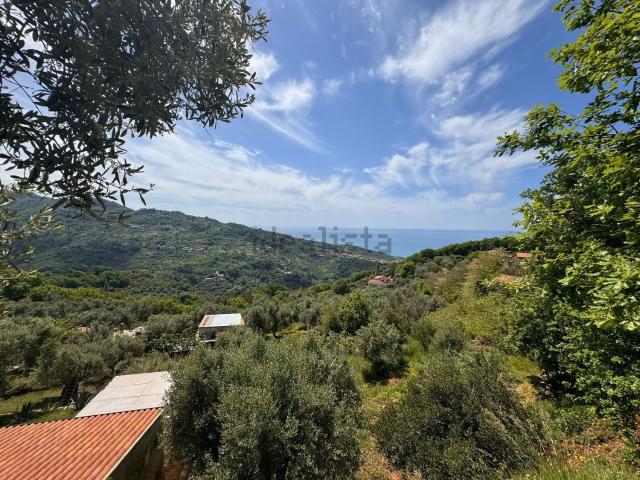 Terreno in vendita a Calabria, Cosenza