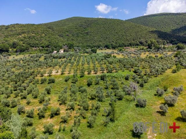 Terreno in vendita a Bocchignano, Montopoli di Sabina