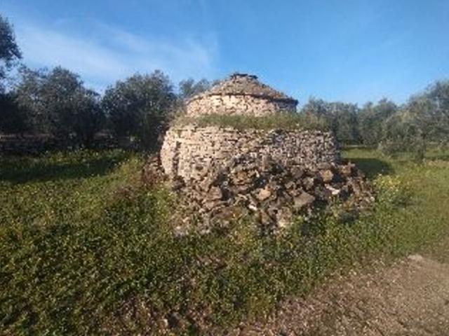 Terreno in vendita a Molfetta, Bari